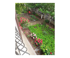 Vand vila P+2+M Chiajna Tineretului, constructie 450mp, 295.000 euro