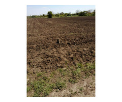 OCAZIE UNICĂ!!!Teren intravilan de vânzare în Giurgiu