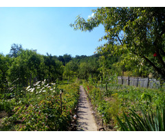 Vand vila si teren intr-o zona superba in loc. Savarsin (jud. Arad)