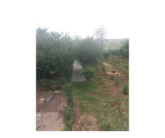 Casa parter si etaj - teren 1200 mp la 30 km de Bucuresti - Ialomita - 8