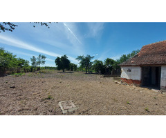 Proprietar vand 1391mp la 35KM de Timisoara