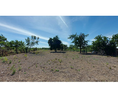 Proprietar vand 1391mp la 35KM de Timisoara