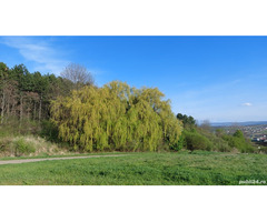 Teren lângă Rezervația Fanațele Clujului - Copârșaie - 7