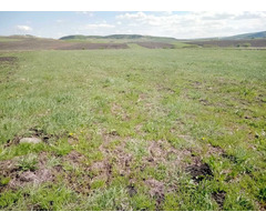 Vand teren extravilan  in Sălistea Nouă la 12km de Cluj-Napoca