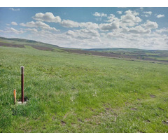 Vand teren extravilan  in Sălistea Nouă la 12km de Cluj-Napoca