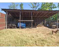 Ferma plus teren aferent 16000mp - 6