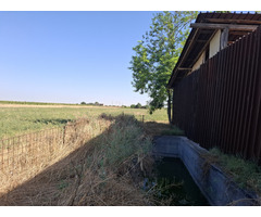 Ferma plus teren aferent 16000mp - 7