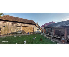 Casă de vânzare - 6