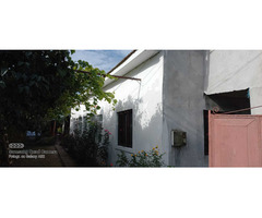 Casa+teren de vanzare Farcasele-Olt - 6