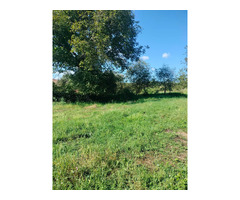 Teren Intravilan, Magurele, BN