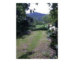 Vand casa + curte + gradina, teren intravilan, 12 ari