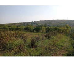 Tomesti - Teren 800mp si anexa 30mp util. - 6