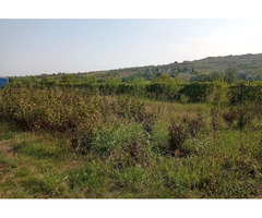 Tomesti - Teren 800mp si anexa 30mp util. - 7