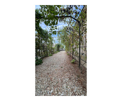 Casa de vanzare la curte la 30 de minute de Craiova - 115.000 € - 2