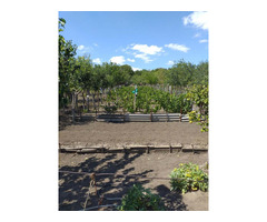 Vand casa + gradina in Stanilesti Vasluui - 3