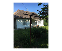 Vand casa la tara cu teren  4000mp - 6