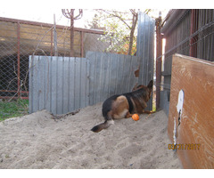 CU TITLU DE PROPRIETATE