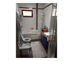 Vila padurea baneasa