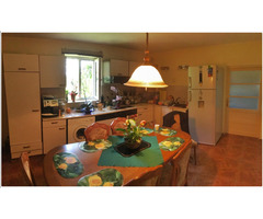 Casa de vanzare in Parta, judetul Timis - 6