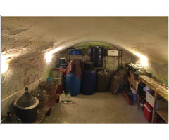 Casa de vanzare in Parta, judetul Timis - 7