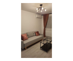 Inchiriere Apartament 2 camere Titan - Nicolae Teclu / Hils Brauner