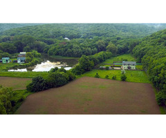 Teren Valea Fagilor/Cetatuia, Luncavita - Tulcea - 2