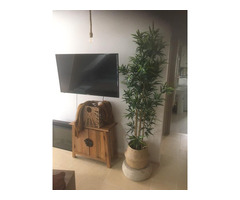 Proprietar vand apartament la munte! - 7