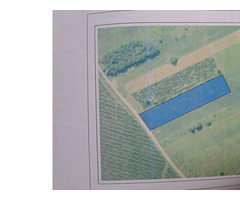 Teren agricol extravilan in com.Cotesti, sat Golestii de Sus, Vrance