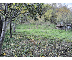 Vând casă Merei, Sărata-Monteoru - 5