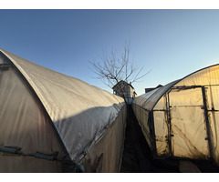 Casa de vanzare in Baleni-Sarbi(Comuna Baleni) - 6