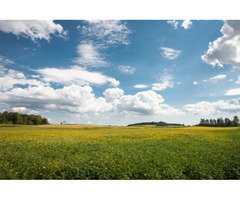 Teren de vanzare Afumati, Ilfov - 1