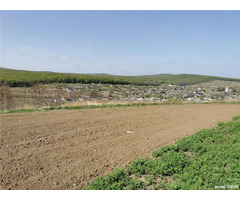 Teren Intravilan in Stâncești