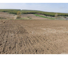 Teren Intravilan in Stâncești