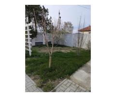 De vânzare casă de lemn modernă, curte mare și facilități complete, la 25 de min de București! - 7