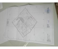 Teren agricol 1400 metri patrati intre Selimbar si Bungard