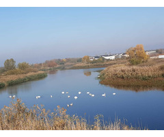 Casa / vila pe malul lacului - 6