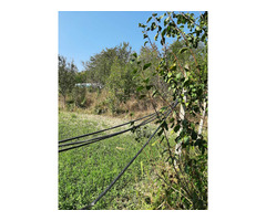 TEREN INTRAVILAN, langa Blaj