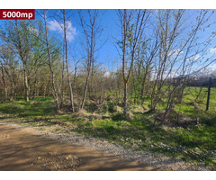 Vanzare terenuri intravilane parcelabile Scroviștea - investiție ideală, aproape de DN1