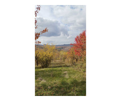 Teren intravilan in Țara Luanei, loc de casă - 7