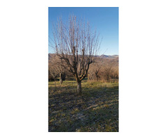 Teren intravilan in Țara Luanei, loc de casă - 8
