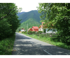 Vand teren intravilan in Muntii Retezat, Gura Zlata - Rau de Mori, judetul Hunedoara