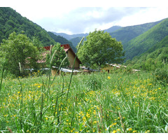 Vand teren intravilan in Muntii Retezat, Gura Zlata - Rau de Mori, judetul Hunedoara