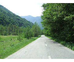 Vand teren intravilan in Muntii Retezat, Gura Zlata - Rau de Mori, judetul Hunedoara - 7