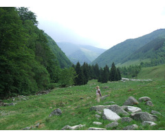 Vand teren extravilan pentru cabana in Muntii Retezat apropae de statiunea de schi Rausor