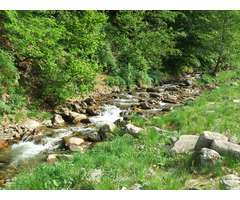 Vand teren extravilan pentru cabana in Muntii Retezat apropae de statiunea de schi Rausor