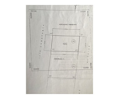 Proprietar, Vând teren 285 mp intravilan construibil – Stradal, între case – Str. Teiuș 190