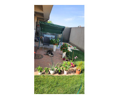 Casă tip insiruită- zona Cartierului Latin