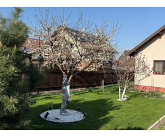 Casa individuala de vanzare