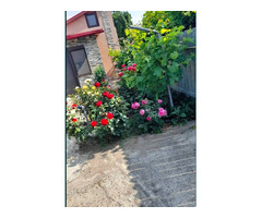 Casa de vanzare in Navodari