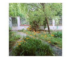 Vila Individuala Otopeni – Zona Lidl | Disponibila Imediat | 223 mp Utili | Garaj Integrat - 6